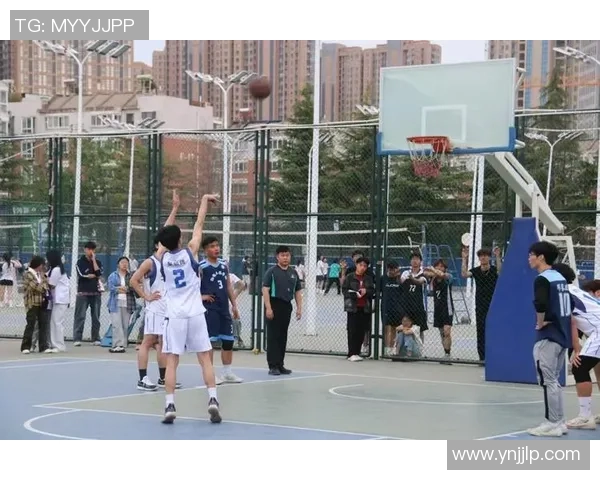 南京篮球队的拼搏之路城市联赛中的荣耀与挑战